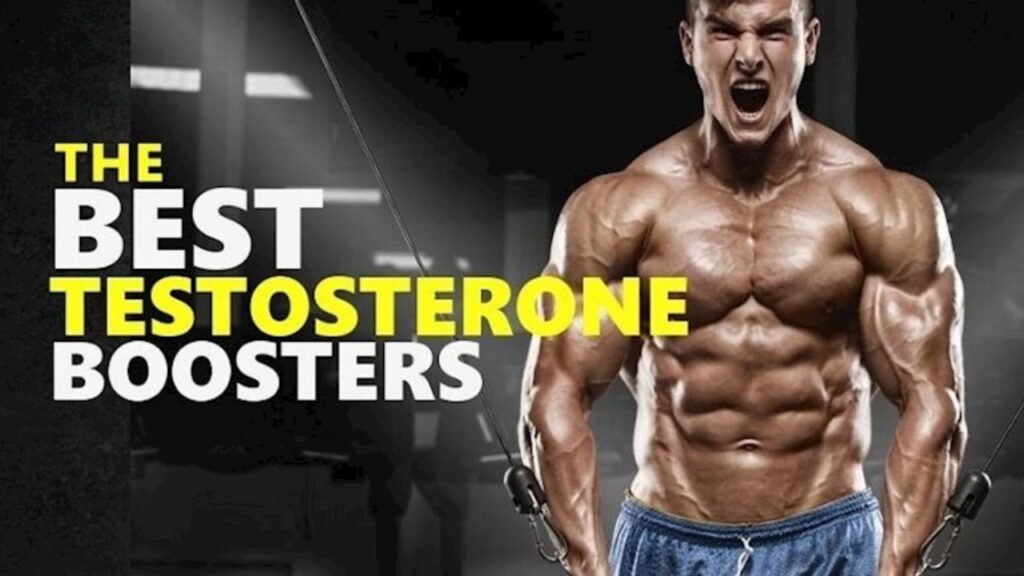 Top 5 Best Testosterone Booster For Men To Build Muscle Fast 2021